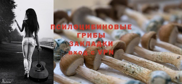 герыч Аркадак