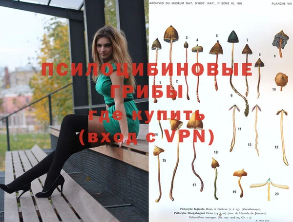 герыч Аркадак