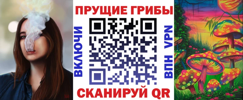 Галлюциногенные грибы GOLDEN TEACHER  Купить закладки  Судак 